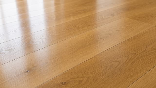 Versiegeltes Parkett mit Lichtreflexion als fachliches Auffrischungsbeispiel